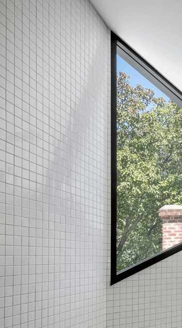 Commercial Fixed Window